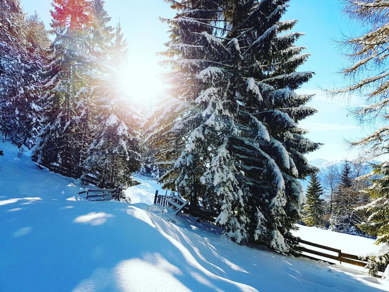 My Apartment Krinzwald Seefeld w Tirolu Zewnętrze zdjęcie